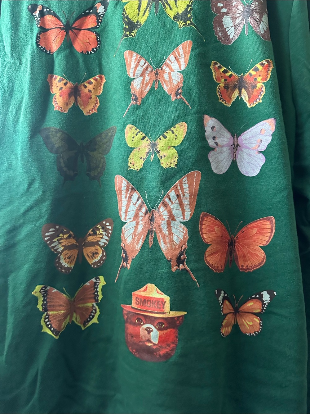 torrid Green Crewneck Sweater with Multicolor Butterfly & Smokey Print